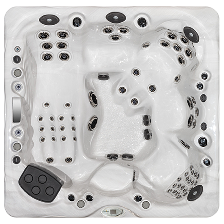 Спа бассейн Master Spas Legend LSX 800 (рис.2)